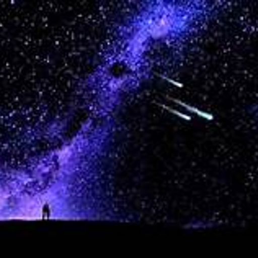 Startraveller (SpaceTrip)