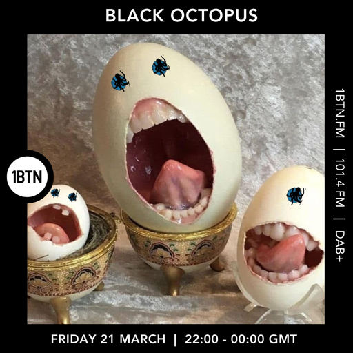 Black Octopus - 21.03.25