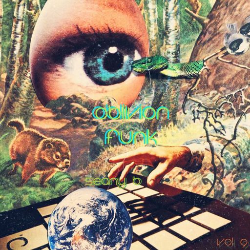 Oblivion Funk Vol 9 ~ Seany B Guest Mix