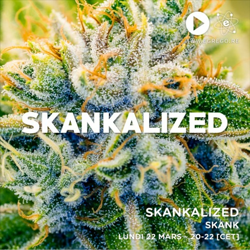 Skankalized 09