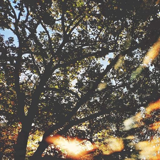 Intersecting Orbits w/ Anacronym - 19/10/22