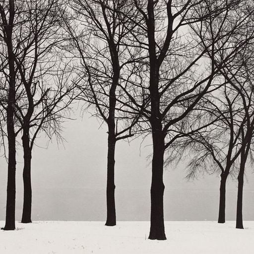 Leila Samir - 8th February 2026