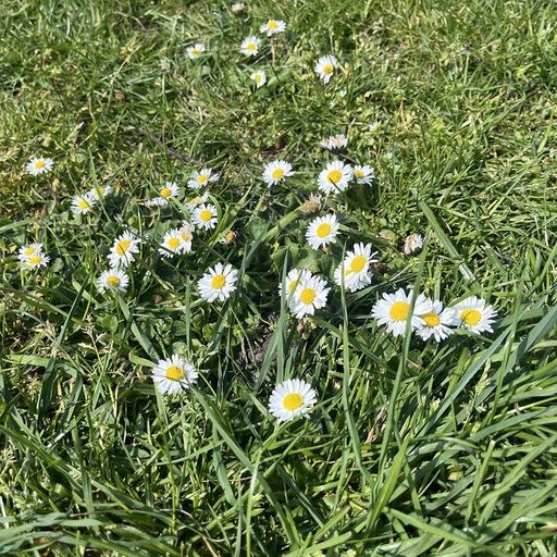 The Early Bird Show w/ Spirit Blue - 30th April 2025