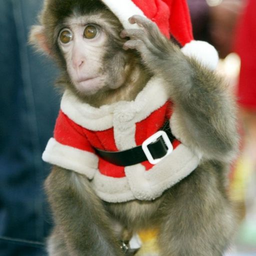 Cheeky Christmas second
