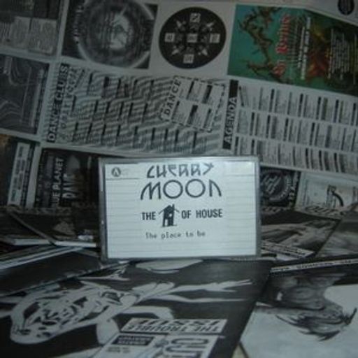 Resident DJ Team at Cherry Moon (Lokeren - Belgium) - 9 July 1993