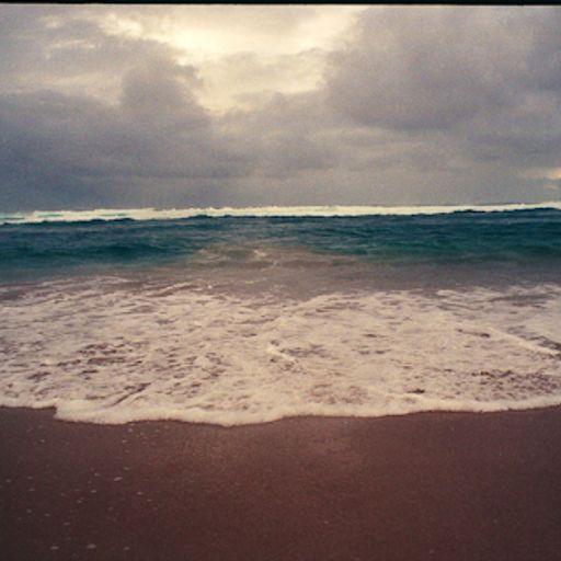 The Last Days of Winter