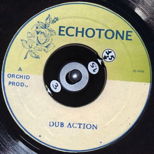 Dub Action 18 Mar 2025 - Radio Canut 102.2FM – Hosted by Echotone