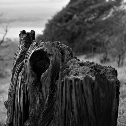 From Cellar to Attic w/ Jjoseph Brownn - August 2022