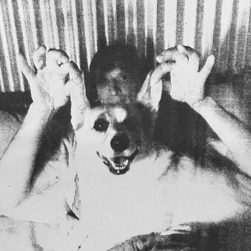 YL HOOI w/ Radart - 5th March 2026