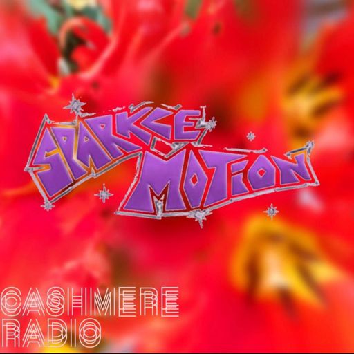 Sparkle Motion with sleeptwitch & aaakzt 28.04.2026