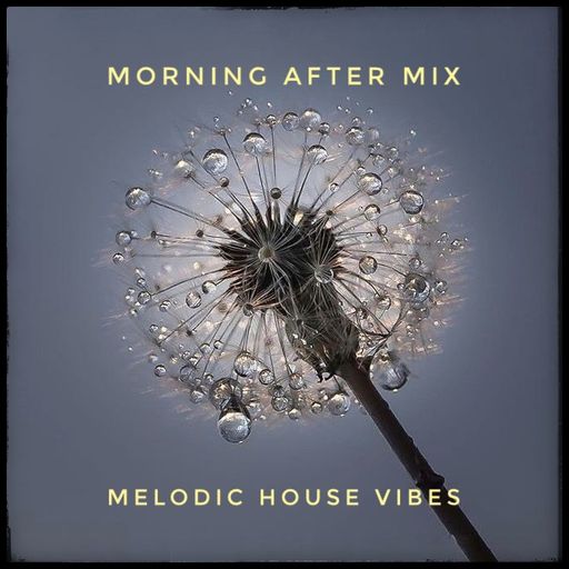 Morning After Mix April25 - Melodic House Vibes