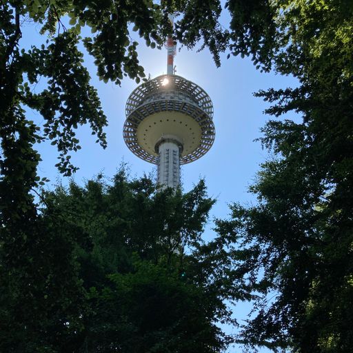 Phonosoul August 2023 mit Beatrock und Chris Vinylist