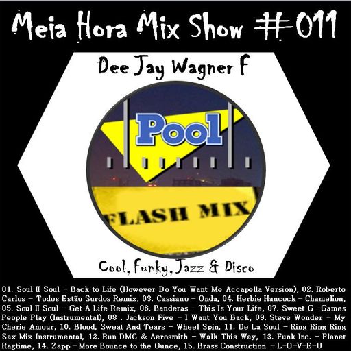 MHMS-011-WagnerF-Flah Mix Pool FM