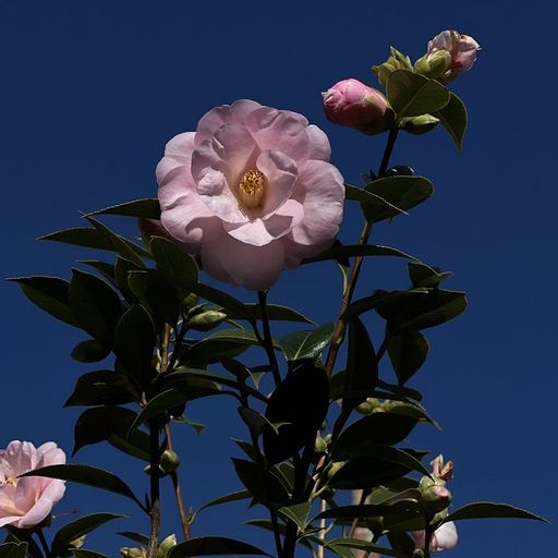 A Colourful Storm - Mysterious Skin - 1st December 2025