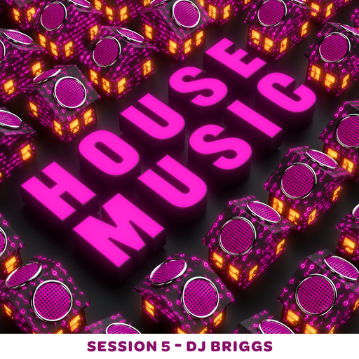 House Music Session 5 - Dj Briggs