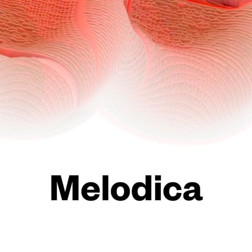Melodica 23 December 2019 (Festive Feels Spread The Love Special)