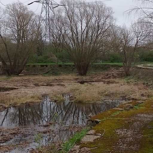 Littoral Transmissions #54 - Emergent Properties - 27th March 2024