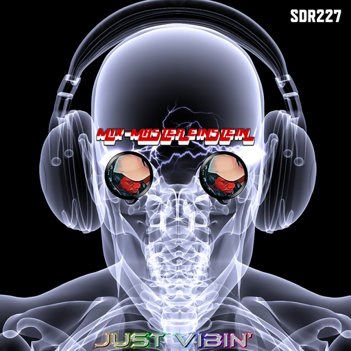 SDR227: Just Vibin'