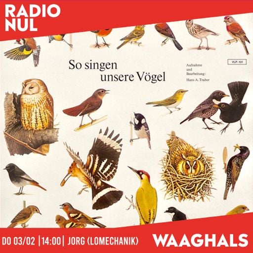 Jorg (Lomechanik) - So Singen Unsere Vögel - Waaghals / 03-02-2022