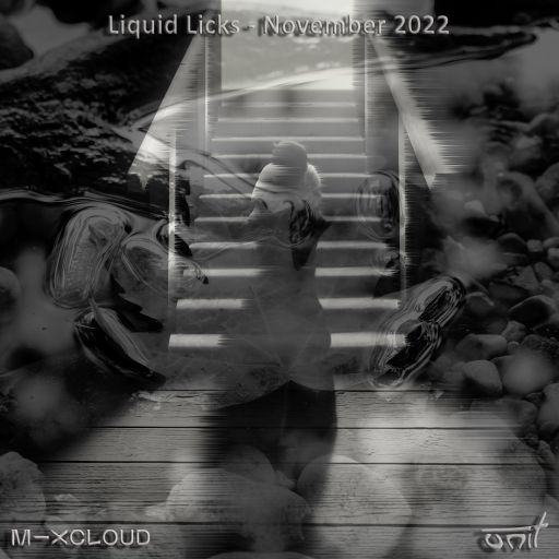 Liquid Licks - November 2022