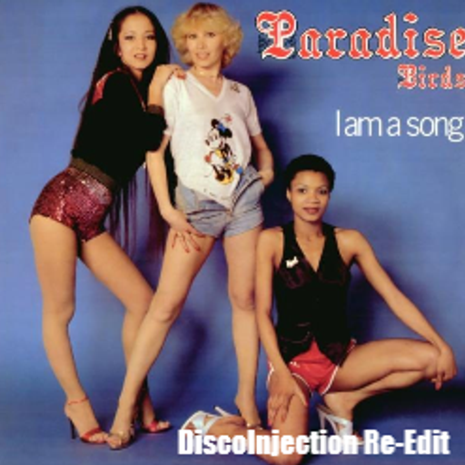 Paradise Birds - I am a Song (DiscoInjection Re-Edit)