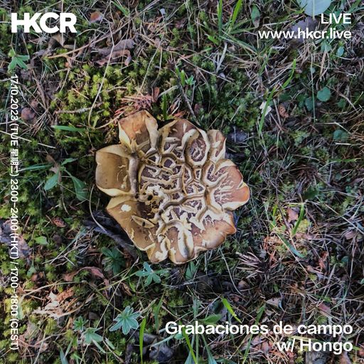 Grabaciones de campo w/ Hongo - 17/10/2023