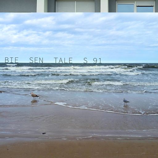 Biesentales 91 - Seaguls & Trains