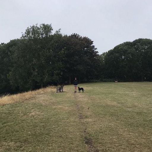 Tilly - 15th September 2025