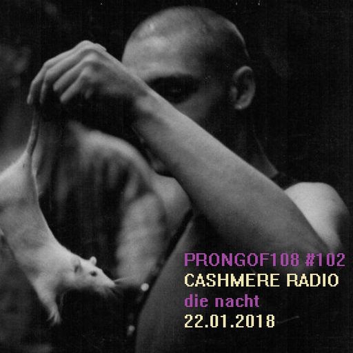 Prongof108 #102 with Samuele Paletti - Die Nacht 22.01.2018
