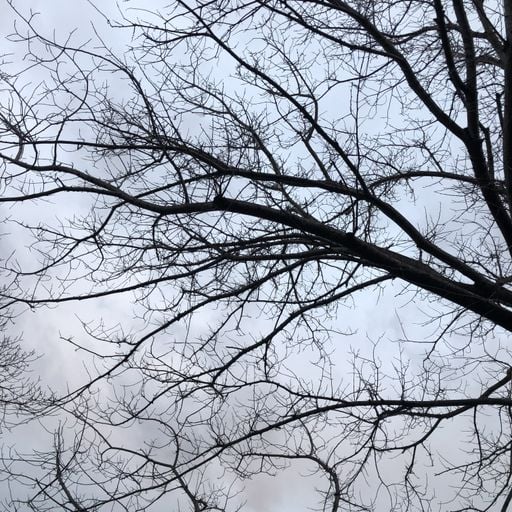 WW Melbourne: Prequel // 27-08-19