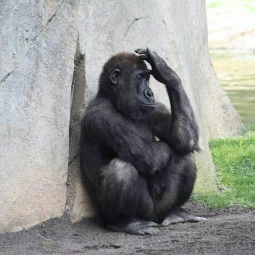 นิทานน้ำหน่า