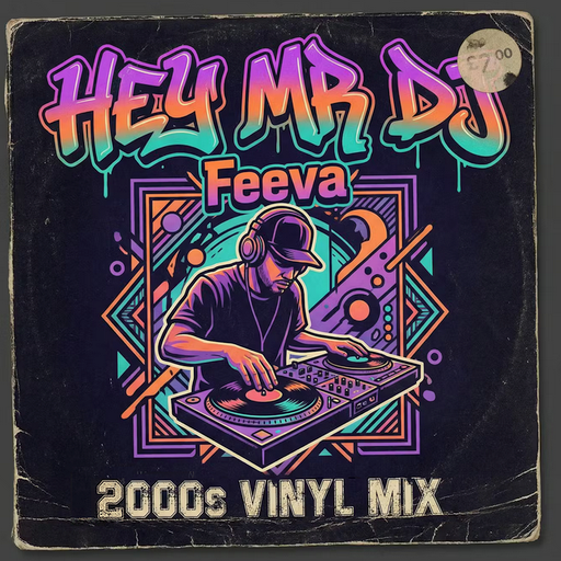 FEEVA - HEY MR DJ