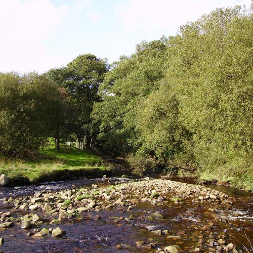 The Folk and Acoustic Music Show 4 August