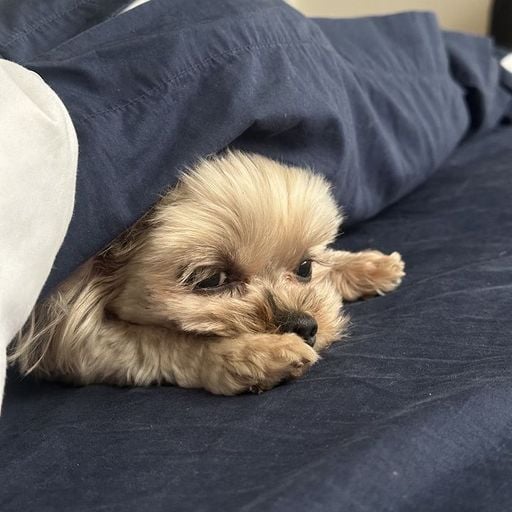 Screwboss Radio w/ Marcy Mane  - 14th November 2025