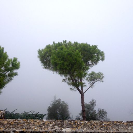 Between reality and madness (Eclectic Playlist Series 7.09)