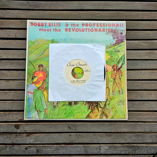 Angus Taylor - Sounds Of Freedom -  Real Roots Radio - Earl Sixteen & Sly tribute plus Excursions