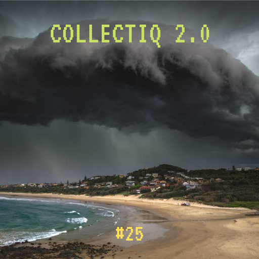 Collectiq 2.0 #25: Charishnu