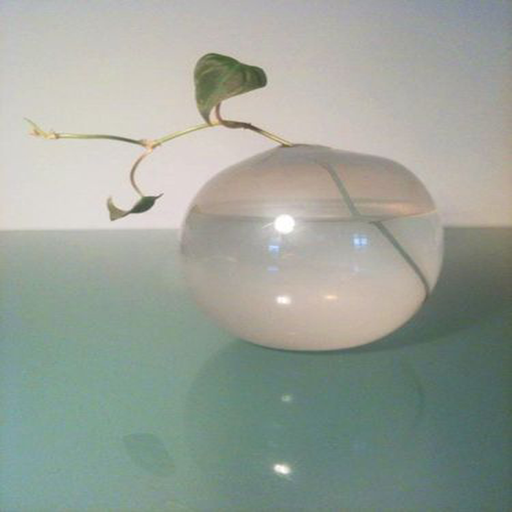 Island Of Sanity w/ Midori - 06/11/22