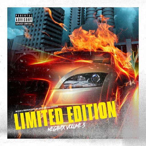 Hip-Hop, RnB, Dancehall Mix 2024 Ft Sean Paul, Elephant Man, Toni Braxton, Tony Matterhorn, Cobra