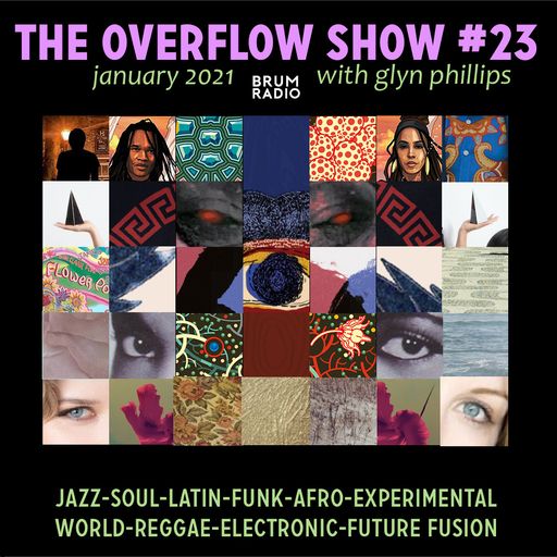 The Overflow Show No 23 with Glyn Phillips (Jan 2021)