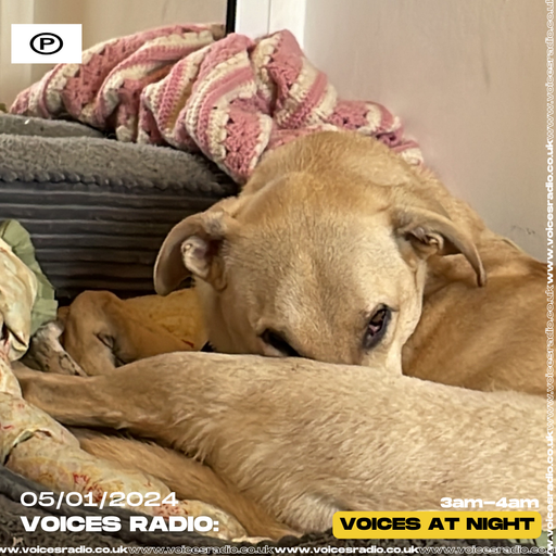 NOEL - 05/01/24 - Voices Radio