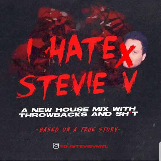 Dj Stevie V's "I HATE STEVIE V" (Official mix)