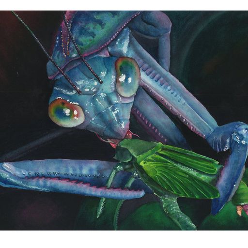 Preacher Creature 