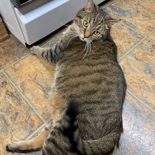 Ted's Takeover mix!!!  Brother Love's Deep Grooves from the Grove