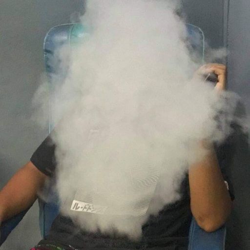 สุลต่านการช่าง