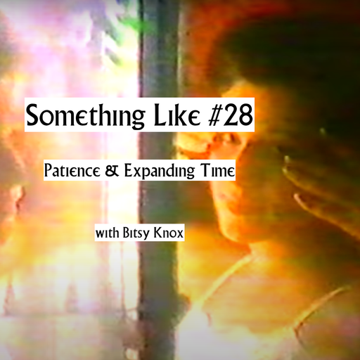 Something Like #28 - Patience & Expanding Time w/ Bitsy Knox 14.01.2021