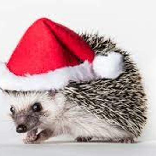 DJ Hedgehog Christmas Special - 15th December 2023  - OnlyOldSkoolRadio.com