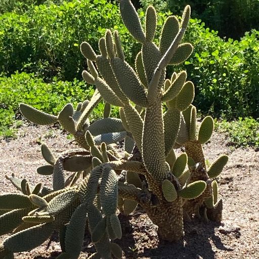 Shouldn't I be doing something? (Eclectic Playlist Series 11.06)