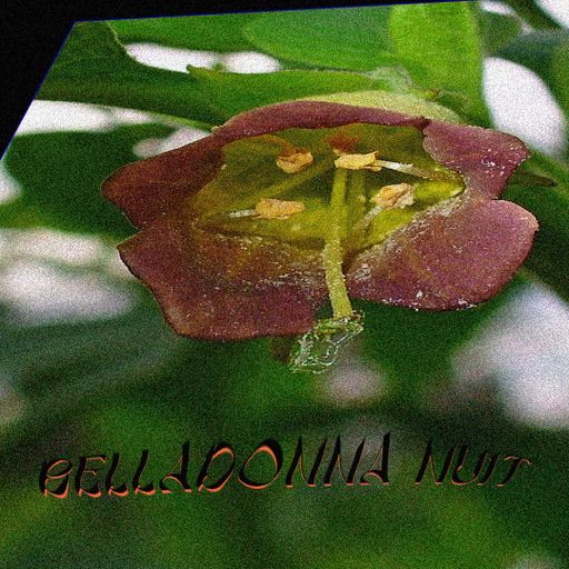 Belladonna Nuit in the underwater spaceship presented by SF KLUB 04.06.2022