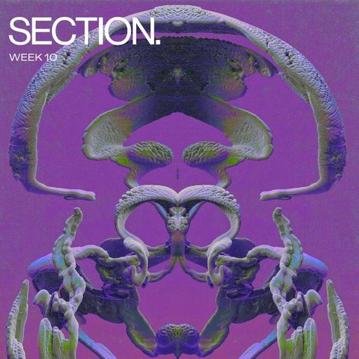 Ellen Allien at SECTION. (London - UK) - 27 June 2025